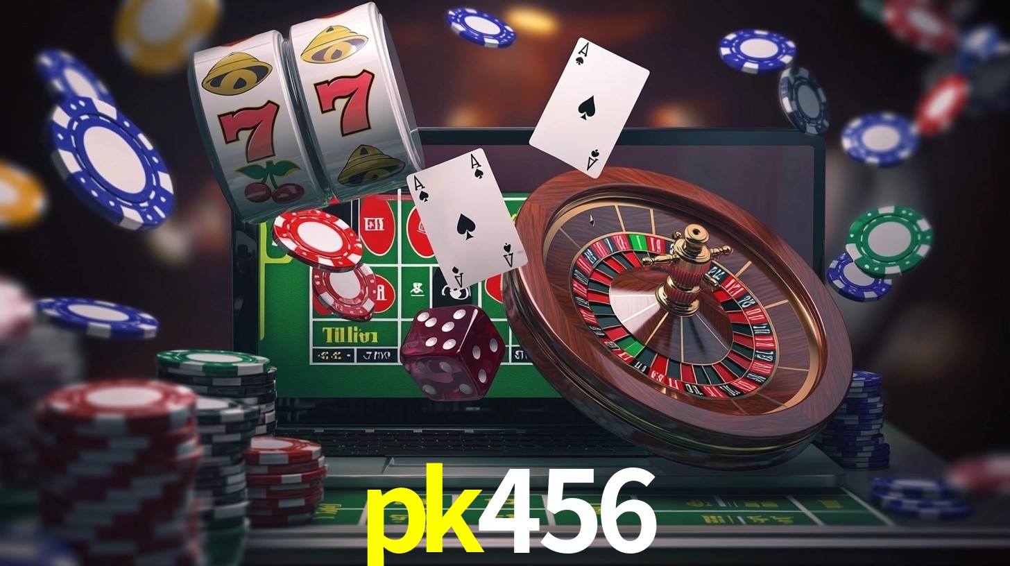 pk456 App Interface