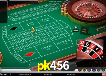 Descubra a Essência do pk456: Nossa História e Compromissos