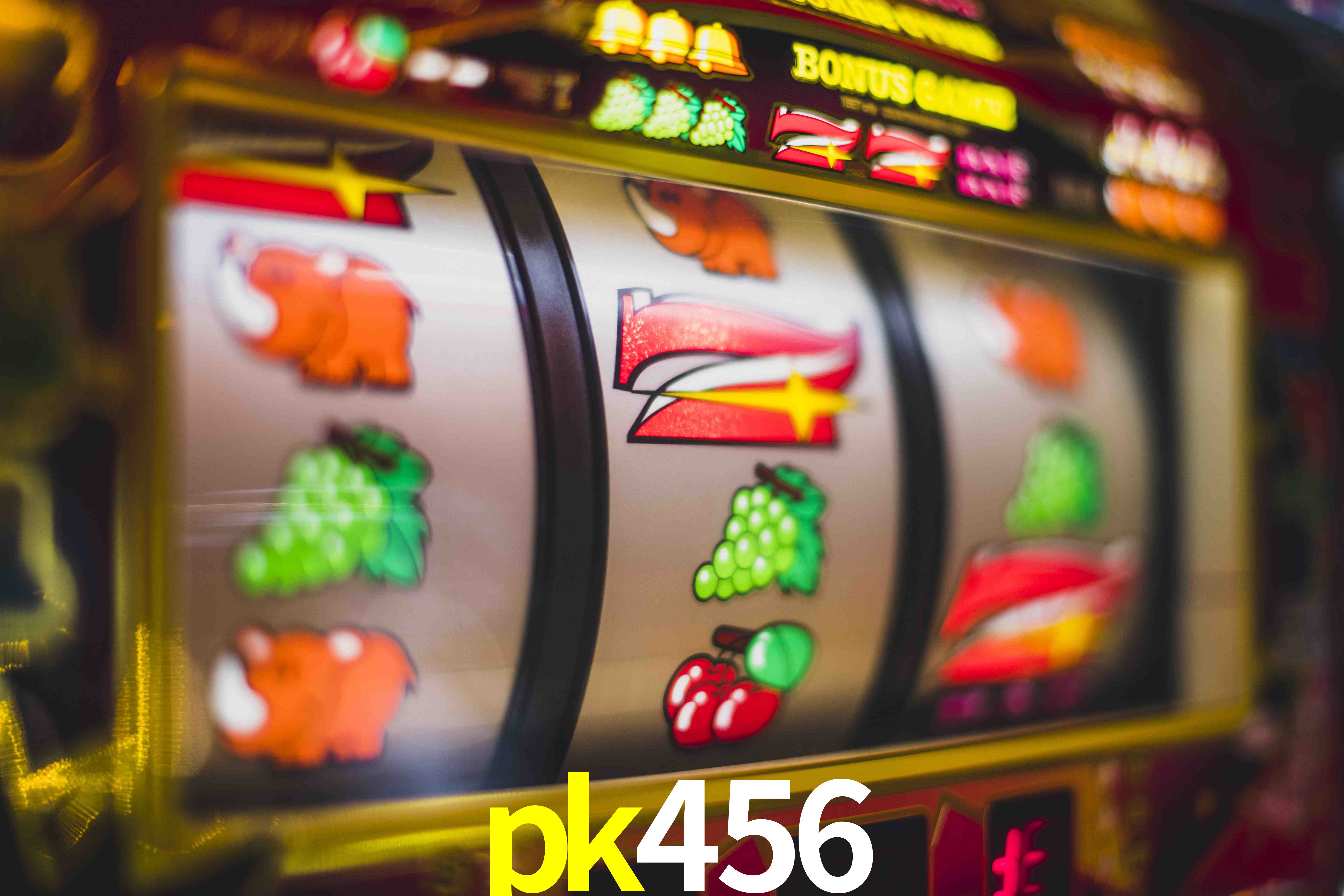 Sports Statistics pk456